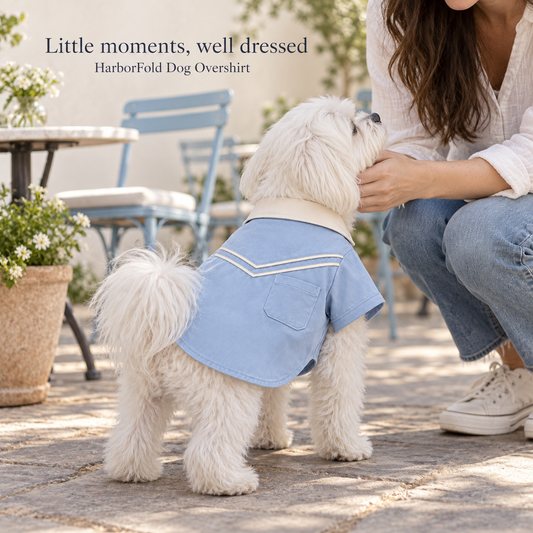 Harbor Chevron Dog Shirt