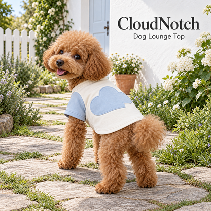 Cloud Arc Colorblock Dog Lounge Top