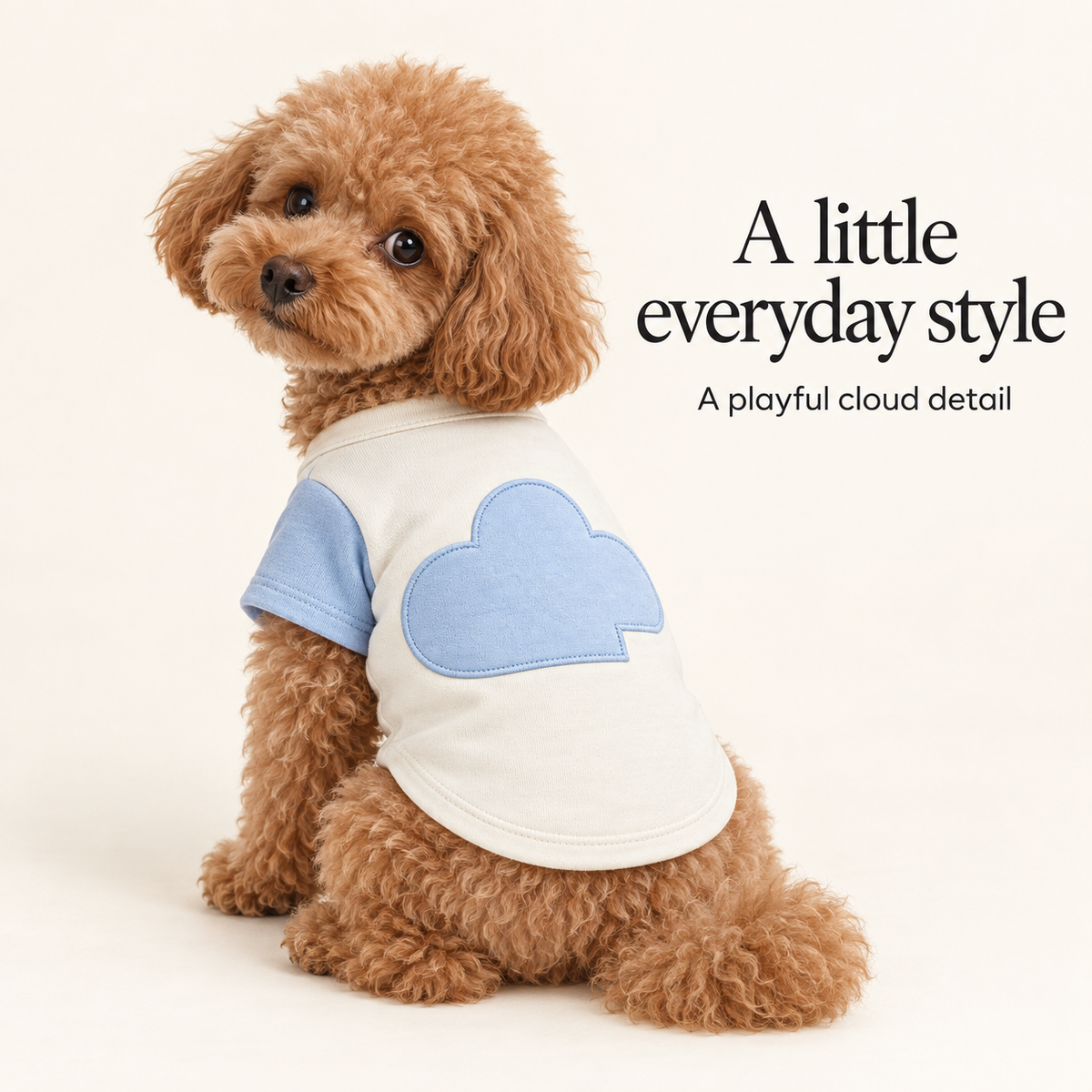 Cloud Arc Colorblock Dog Lounge Top