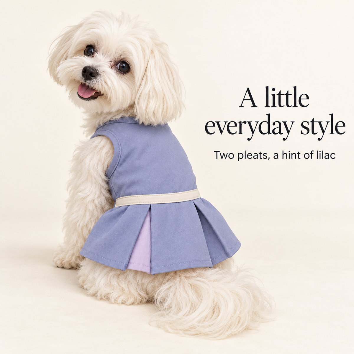 Twilight Double-Pleat Dog Dress