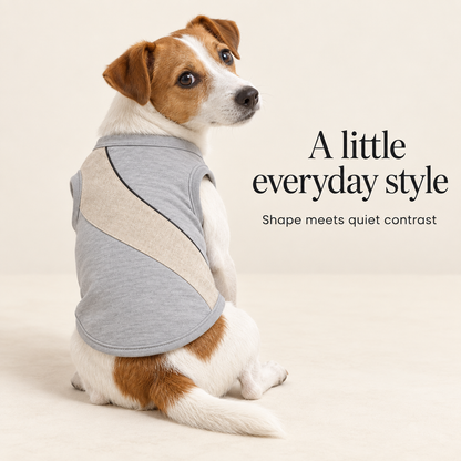 Stone Ribbon Colorblock Dog Vest